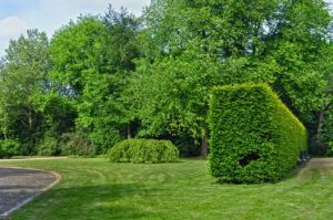 urban park, municipal park, green space